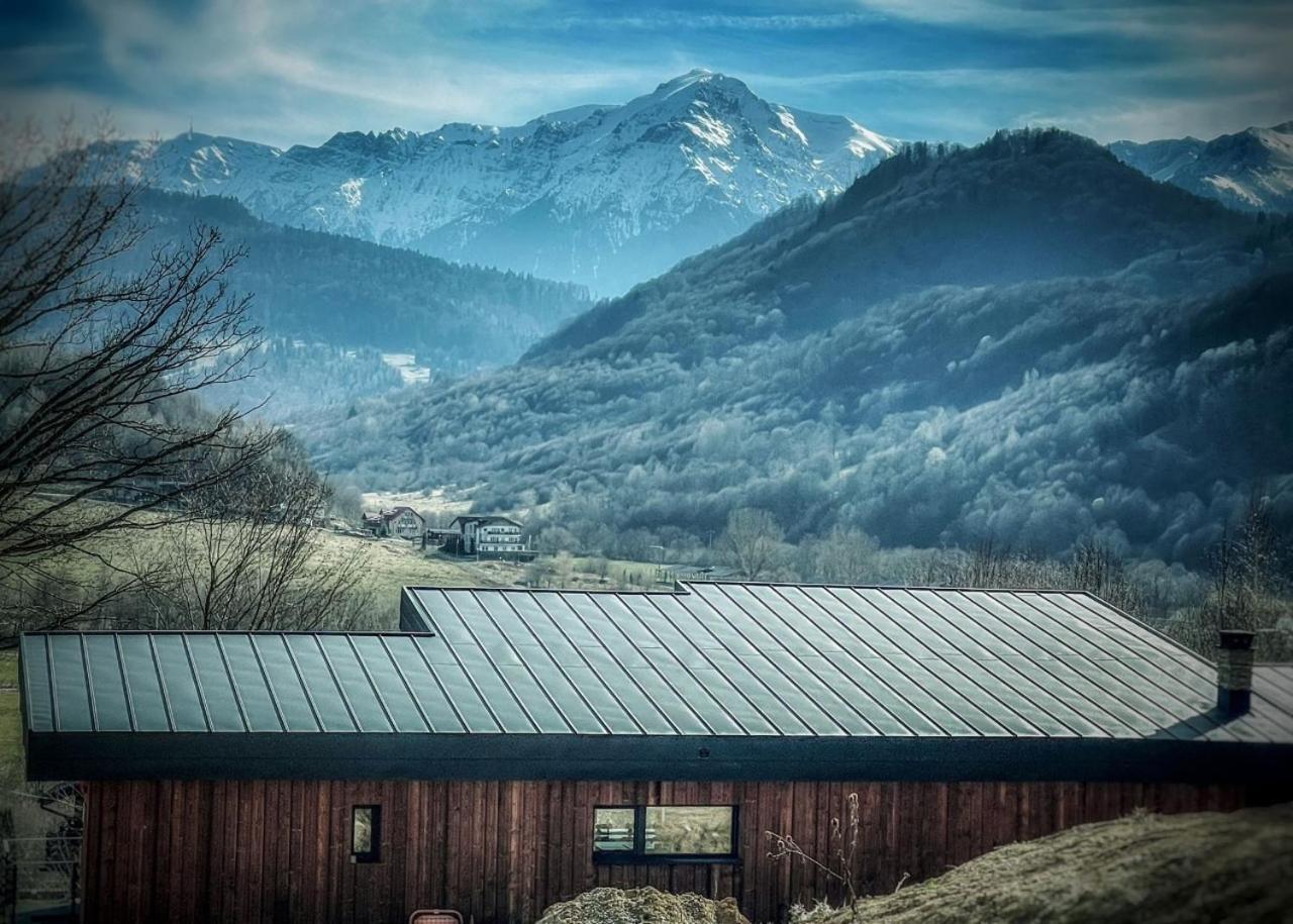 Mountain Lodge Rasnov Exterior foto